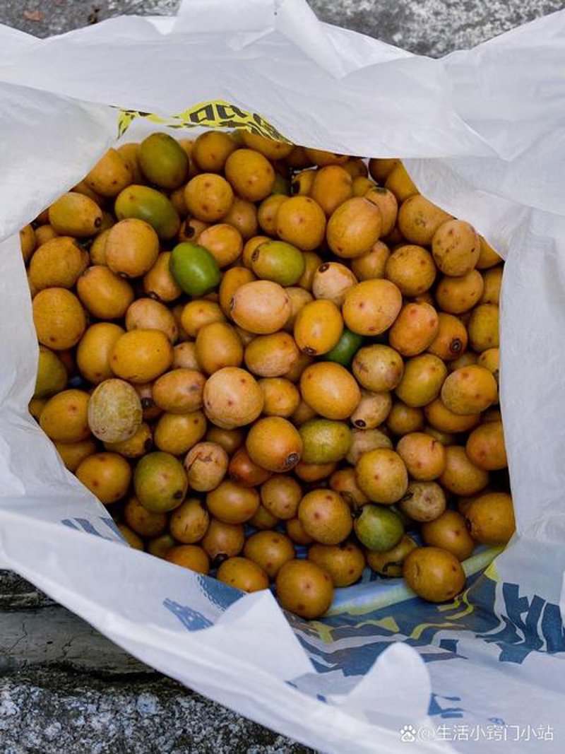 岳麓区美食攻略：品尝长沙地道风味